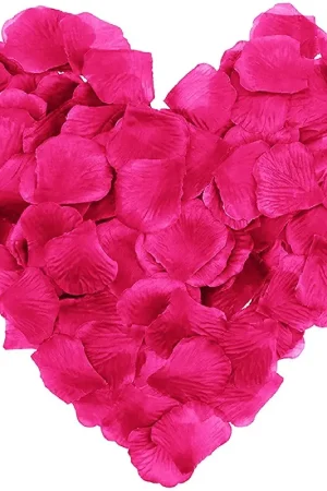Dernière Chance Petale de rose pas cher Fuchsia x 1000 pièces