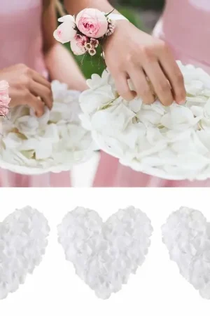 Petale de rose pas cher Blanc x 1000 pièces Achetez Aujourd'hui