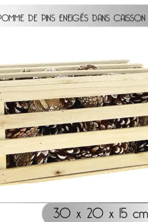 Remise Caisse de pommes de pin enneigées x 91 pièces