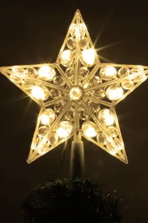 Authentique Cimier de noel exterieur 20 LED Blanc chaud