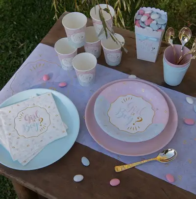 10 Assiettes en carton Girl or Boy Haute Qualité