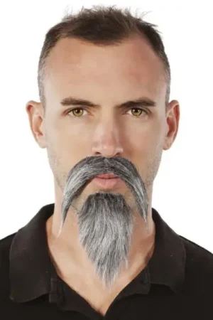 Acheter En Ligne Moustache et Barbichette Mandarin Gris