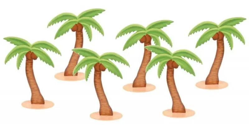 6 Marque places Palmier Prix Cassé