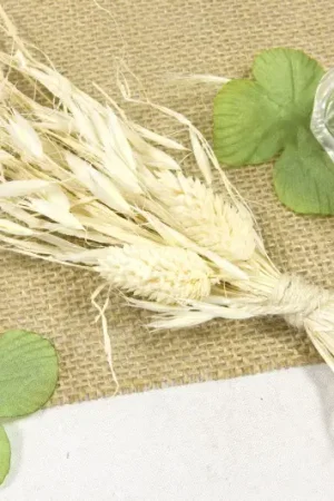 Bouquet d'avoine séché Seulement Aujourd'hui