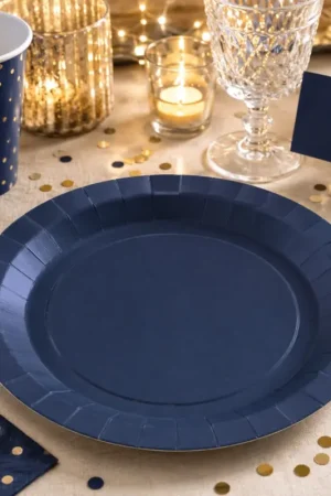Assiette carton ronde Bleu Marine 23 cm x 10 pièces Bon Plan
