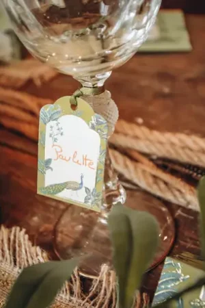 10 Etiquettes Tropical Peacock Offre Spéciale