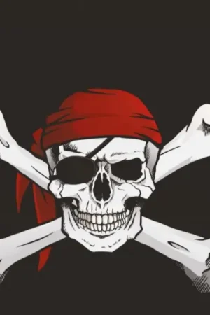 Drapeau Pirate 90x150cm Prix Réduit