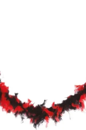 Boa Plumes Noir et Rouge Commander Vite