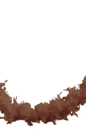 Super Prix Boa Plumes Marron