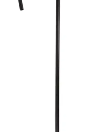 Canne Charlot Noir 80 cm Commander Maintenant