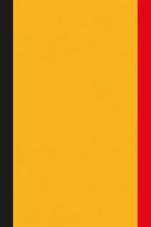Offre Spéciale Drapeau Belgique 90x150 cm