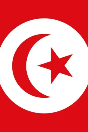 Drapeau Tunisie 90x150 cm Certifié