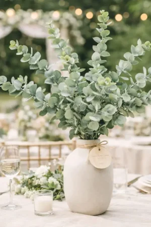 Branche de feuilles Eucalpytus Blanchi Offre Exclusive