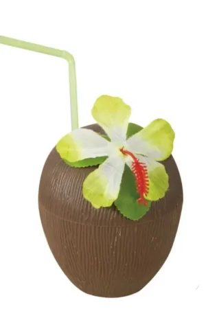 Populaire Verre Noix de Coco avec Couvercle