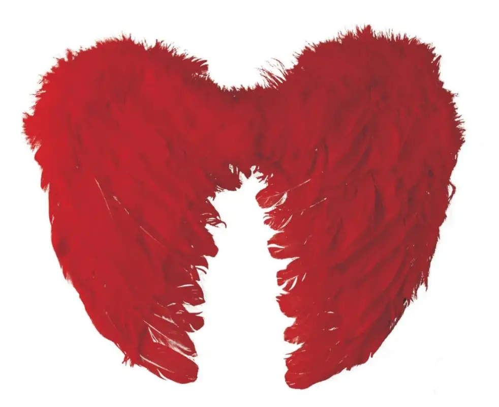 Ailes d'Anges en Plumes Rouge 40 x 32 cm Prix Choc