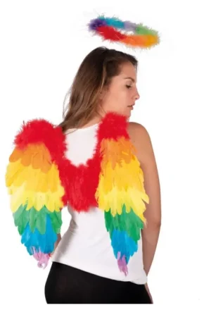 Promotion Saisonnière Ailes d'Anges en Plumes Arc-en-Ciel 50 x 50 cm
