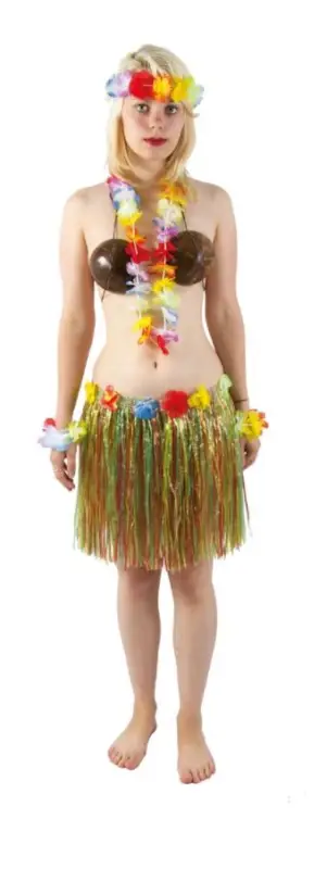 Expédition Rapide Jupe Hawaïenne Adulte Multicolore 40 cm