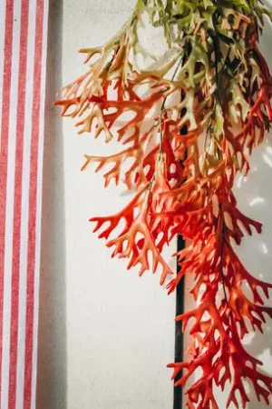Soldes Branche d'Algues degrade Vert et Rouge 80cm