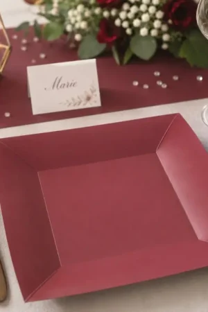 Assiette carrée en carton Bordeaux 23cm x 10 pièces Réduction