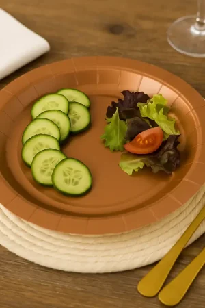 Jusqu'à Épuisement Des Stocks Assiette carton ronde Bronze 23 cm x 10 pièces