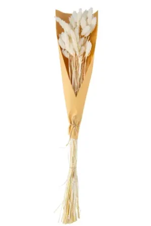 Bouquet Phalaris Naturel Soldes