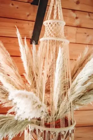 Bon Plan Tige Pampa la Audette Blanche