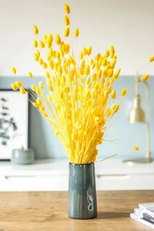 Bouquet Phalaris Jaune Nouvelle Collection