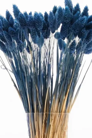 Dernier Modèle Bouquet Phalaris Bleu Marine