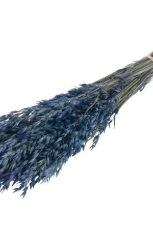 Meilleure Vente Bouquet d'avoine séché Bleu Marine