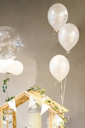 Ballon Bulle transparent 50cm avec guirlande de lierre Commander Maintenant