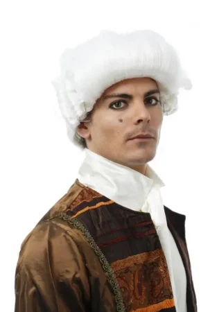 Perruque Mozart Baroque Vente Flash