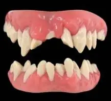 Kit Dents Monstre Expédié Aujourd'hui
