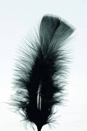 Quantité Limitée Plumes Pieds Plats Noir x100pcs