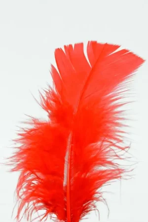 Solde Plumes Pieds Plats Rouge x100pcs