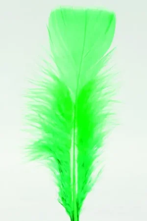 Prix Promo Plumes Pieds Plats Vert x100pcs