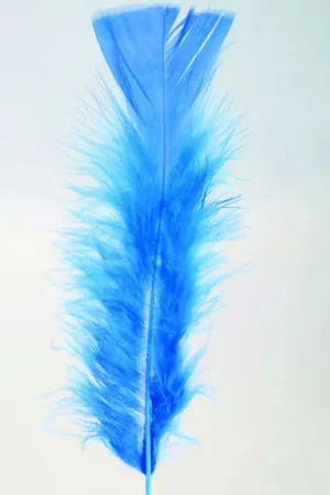 Commande En Gros Plumes Pieds Plats Bleu x100pcs