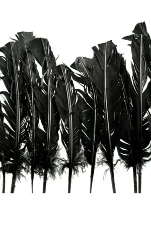 Quantité Limitée Plumes de Dinde Noir x10pcs