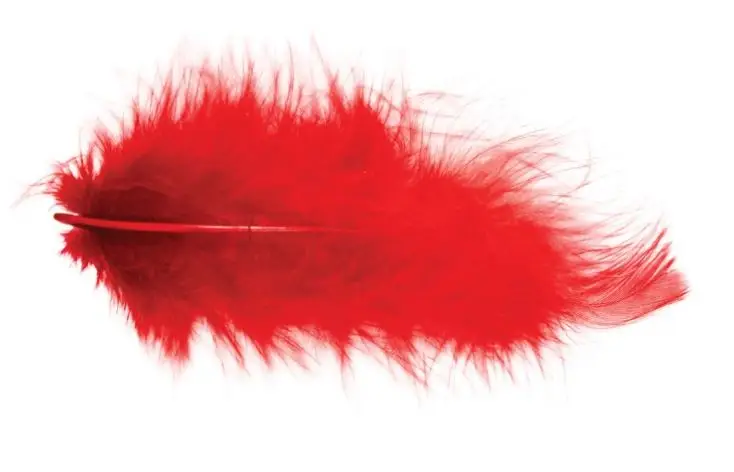 Bon Marché Pochette Plumes 5-10 cm 10g Rouge