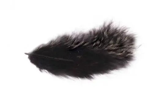 Réduction Pochette Plumes 5-10 cm 10g Noir