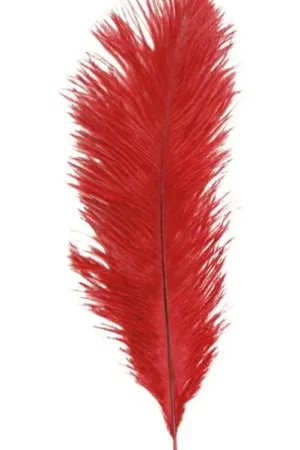 Sachet 5 Plumes Autruche Rouge 20-25 cm Vente Directe