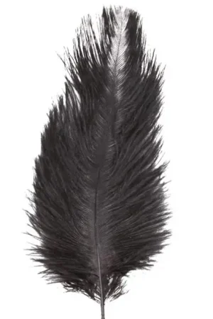 Sachet 5 Plumes Autruche Noir 20-25 cm Retour Gratuit
