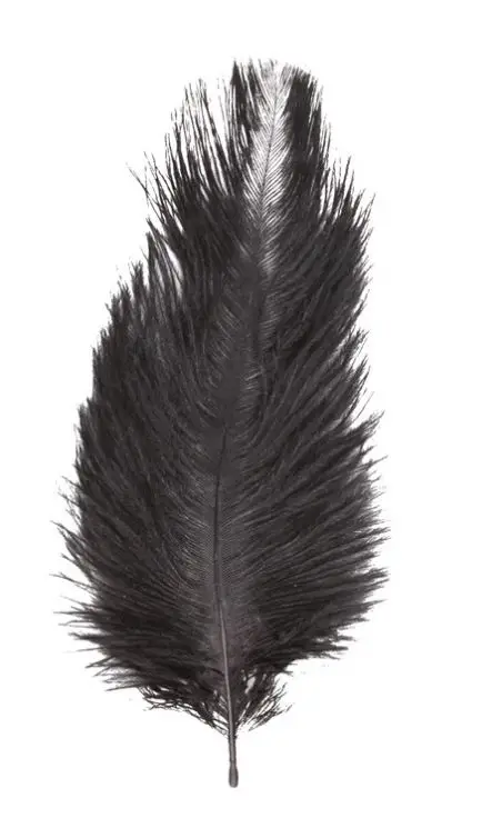 Sachet 5 Plumes Autruche Noir 20-25 cm Retour Gratuit