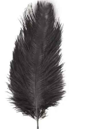 Sachet 2 Plumes Autruche Noir 30-35 cm Nouvel Arrivage