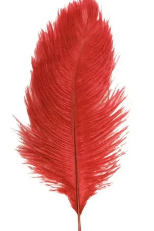 Seulement Aujourd'hui Sachet 2 Plumes Autruche Rouge 30-35 cm