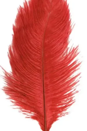 Achat Immédiat 1 Plumes Autruche Rouge 55-60 cm
