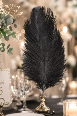 1 Plumes Autruche Noir 55-60 cm Promotion