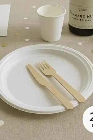 Prix Réduit Assiette plastique ronde Blanche réutilisable 25 cm x 25 pièces
