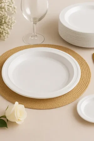 Meilleur Prix Assiettes plastique Blanche 20.5 cm réutilisable x 50
