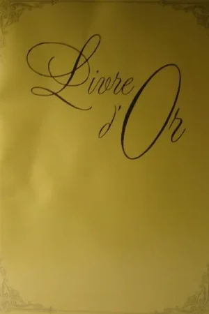 Nouvel Arrivage Livre d'Or carton doré