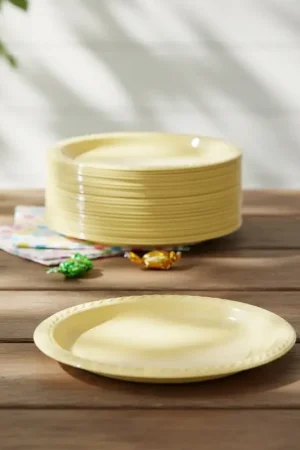 Quantité Limitée Assiette plastique Ronde Ecru 17 cm x 20 pièces